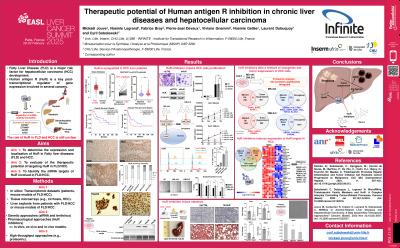 Therapeutic potential of Human antigen R inhibition in chronic liver disease and hepatocellular carcinoma