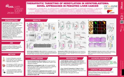 Therapeutic Targeting of Neddylation in Hepatoblastoma: Novel Approaches in Pediatric Liver Cancer