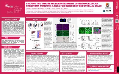 Shaping the immune microenvironment of hepatocellular carcinoma tumours: a role for senescent endothelial cells