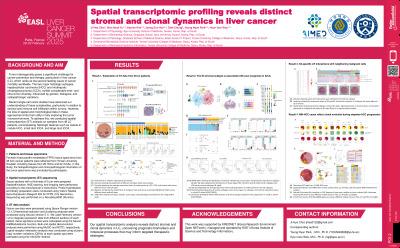 Spatial transcriptomic profiling reveals distinct stromal and clonal dynamics in liver cancer
