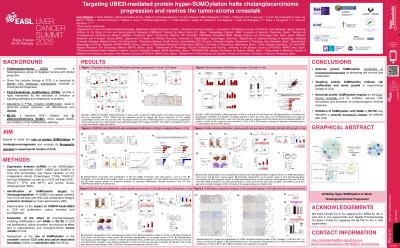 Targeting UBE2I-mediated protein hyper-SUMOylation halts cholangiocarcinoma progression and rewires the tumor-stroma crosstalk
