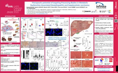 Therapeutic potential of targeting Processing-bodies in Metabolic Dysfunction-Associated Steatohepatitis and hepatocellular carcinoma