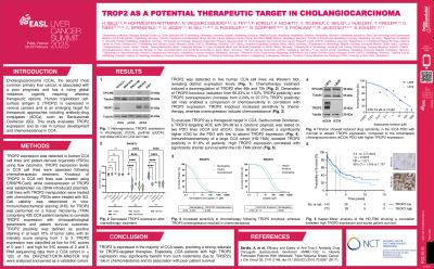 TROP2 as a potential therapeutic target in cholangiocarcinoma