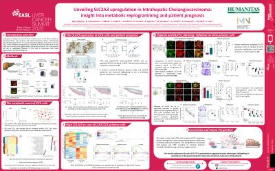 Unveiling SLC2A3 upregulation in intrahepatic Cholangiocarcinoma: insight into metabolic reprogramming and patient prognosis