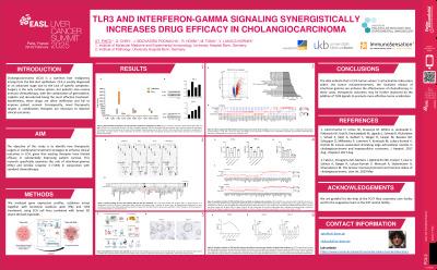 TLR3 and interferon-gamma signaling synergistically increases drug efficacy in cholangiocarcinoma