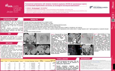 Transarterial embolization with ethylene vinylalcol copolymer (EVOH) for spontaneous rupture of unresectable hepatocellular carcinoma: an oncological role beyond haemostasis?